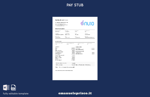 modello di busta paga NU Technologies India in stile verificato